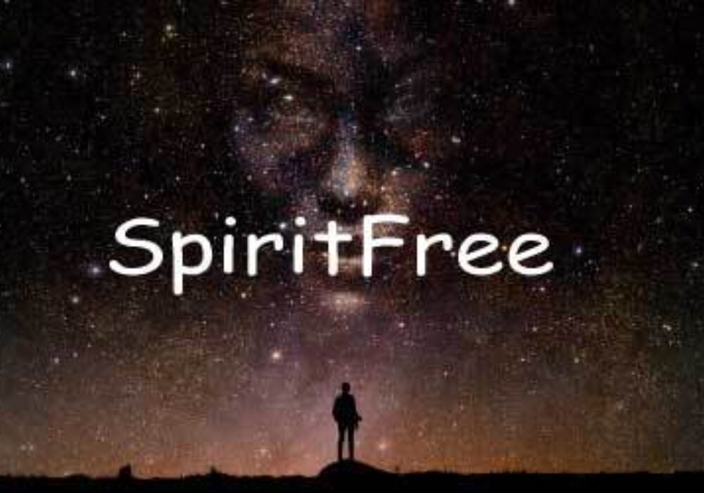 SPIRITFREE IMMERSION