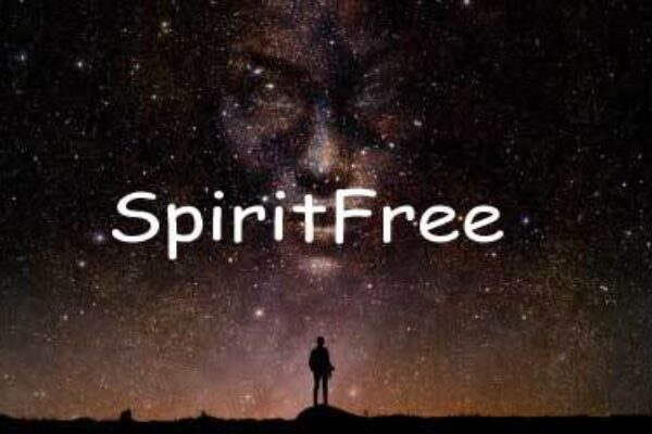 SPIRITFREE IMMERSION
